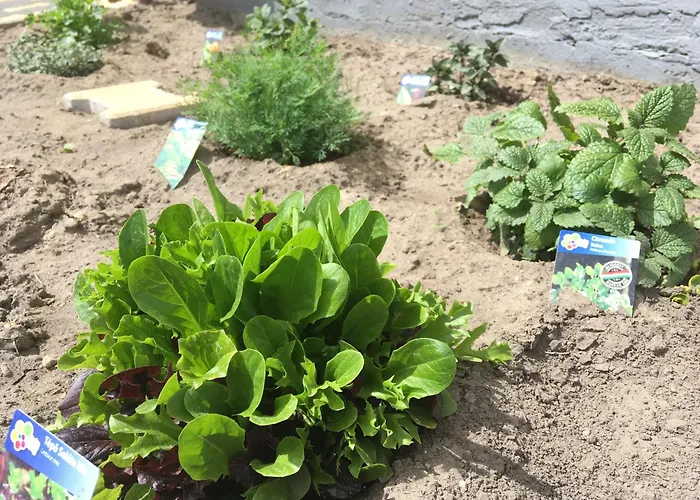 דירה Apartmanhaz בלטונללה